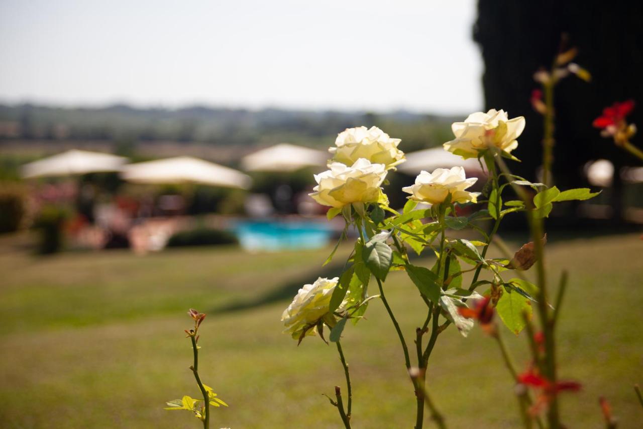 Casa Vacanze Casalsole Vinci Exteriér fotografie
