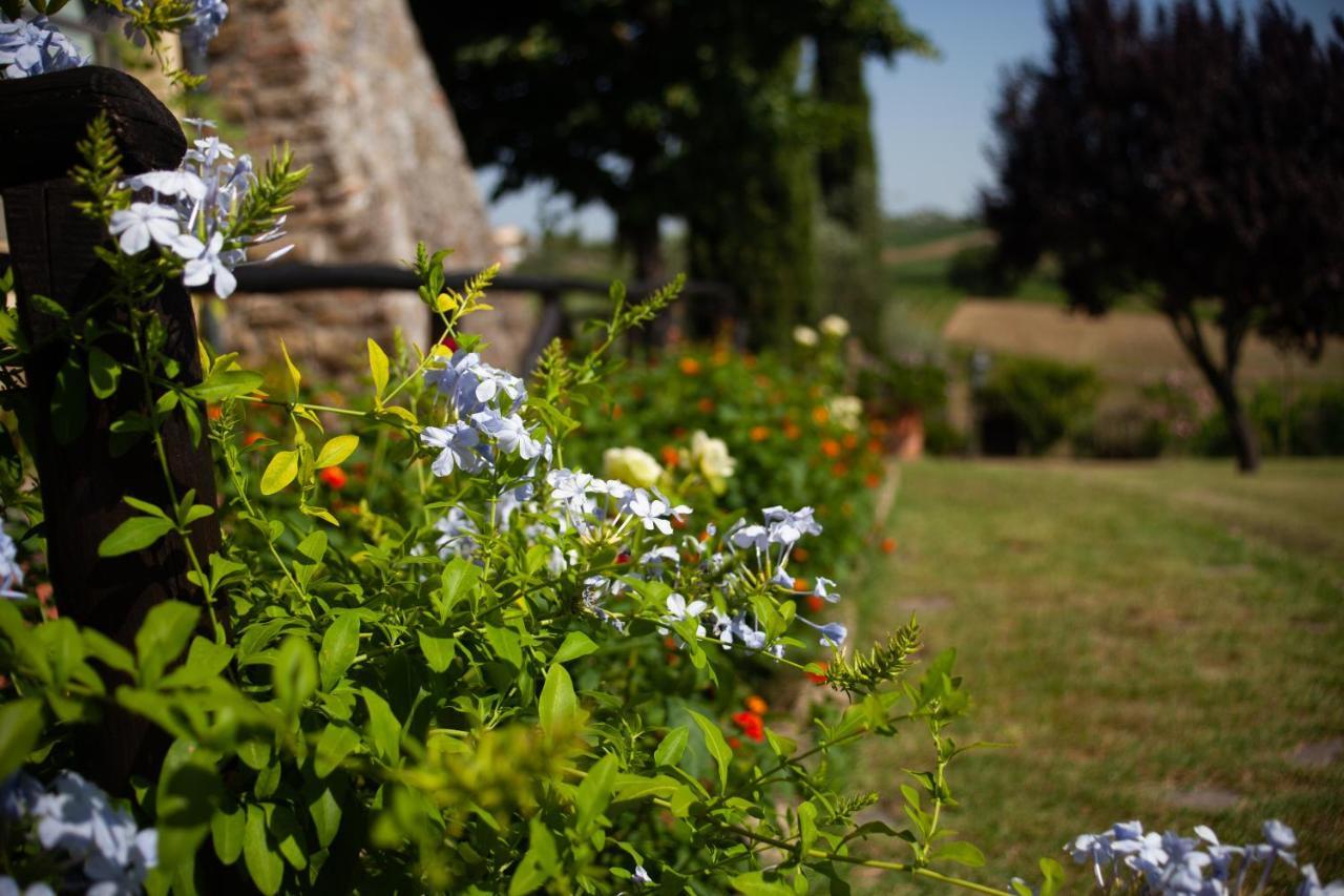 Casa Vacanze Casalsole Vinci Exteriér fotografie